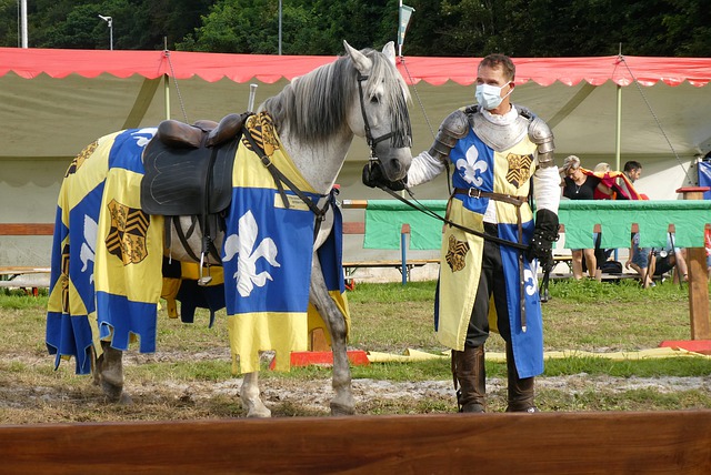 吴瑋曦凭借 吴瑋曦凭借