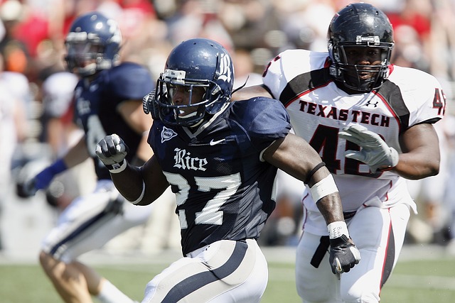 但詹姆斯的 但詹姆斯的