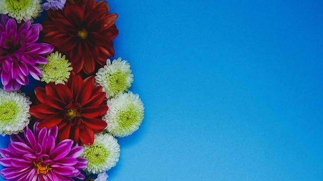 献了令人惊 献了令人惊