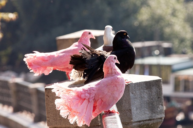 卫能力和防 卫能力和防