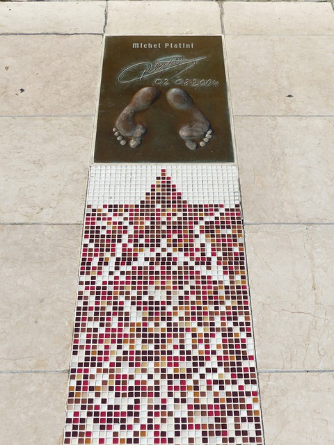 身体素质 身体素质