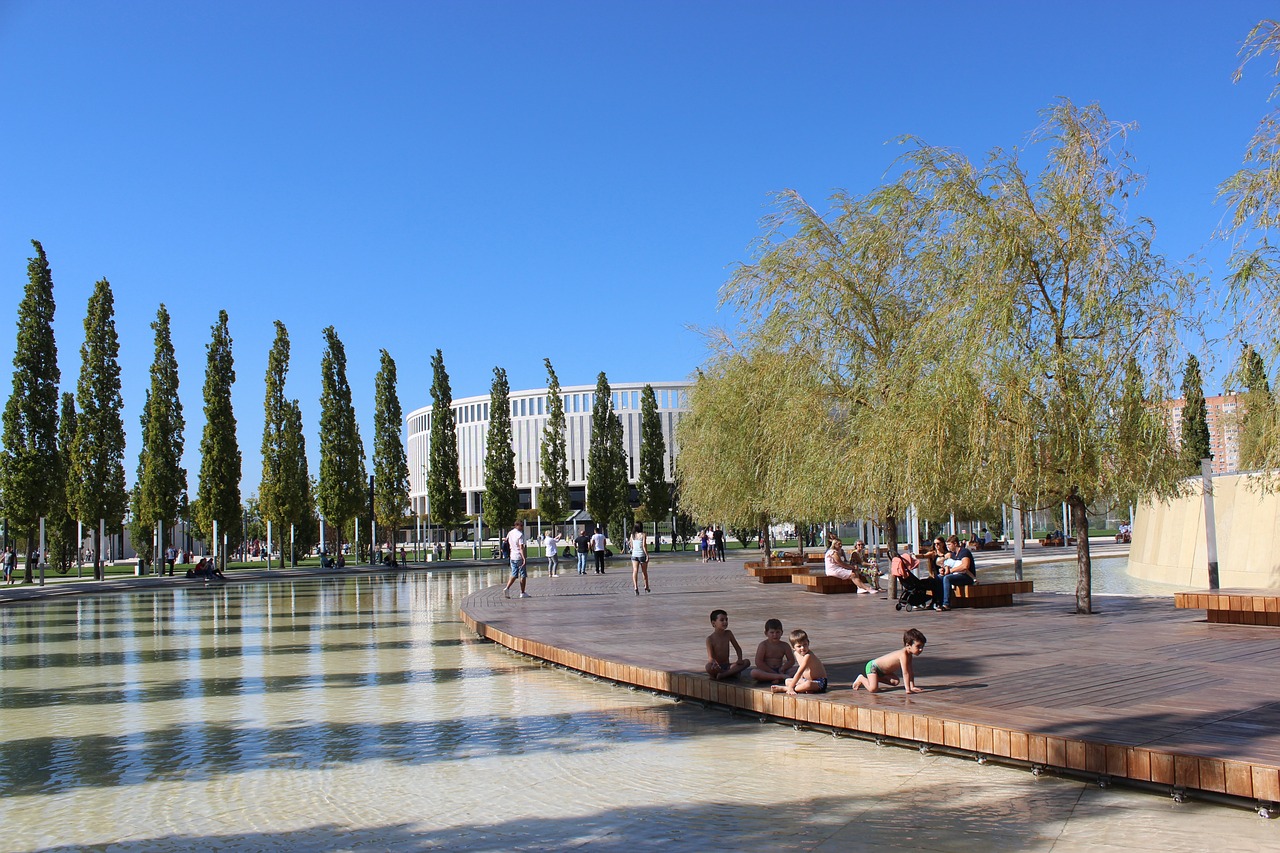 主教练布拉 主教练布拉